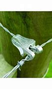 Image result for Electrical Wire Attachment Clips