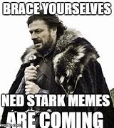 Image result for Ned Stark BRACE Yourself Meme