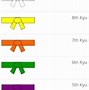 Image result for Karate Belt Colors Levels