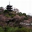 Image result for Sankeien Garden Yokohama