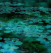 Image result for Pond Scenery