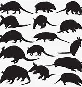 Image result for Simple Armadillo Silhouette