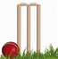 Image result for Wicket