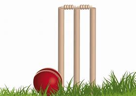 Image result for Cricket Bat Ball Wicket PNG