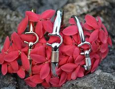 Image result for Virgin Islands Hook Bracelet