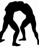 Image result for Freestyle Greco Wrestling