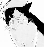 Image result for Cute Black and White Cat Anime