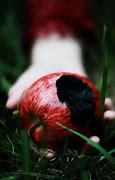Image result for Poisonous Apple