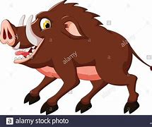 Image result for Angry Pig Cartoon