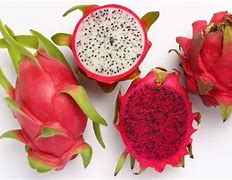 Image result for Exotic Chinese Fruits