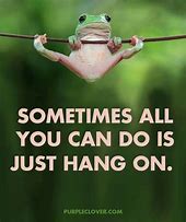 Image result for Funny Hang in There Girl