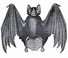 Image result for Bat Swarm Clip Art