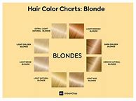 Image result for Honey Blonde Hair Color Chart