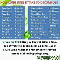 Image result for How Long Does It Take to Decompose