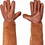 Image result for Rose Pruning Gloves for Men