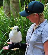Image result for Zookeeper Zoo Animals