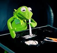 Image result for Dirty Kermit the Frog