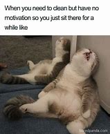 Image result for Cat Memes Funny Clean