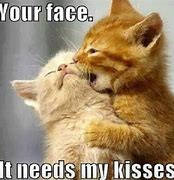 Image result for Romantic I Love You Memes