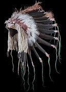 Image result for Feather Bonnet Case