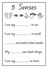 Image result for 5 Senses 1st Grade