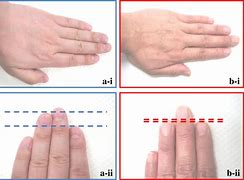 Image result for 6 Inches Compared to Hand