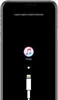 Image result for iPod Classic Support Screen