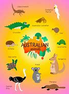 Image result for Boardmaker Australian Animals