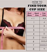 Image result for E Cup Size in Diameter