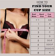 Image result for Cup Sizes C70