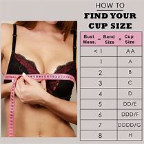 Image result for How to Measure Your Correct Bra Size