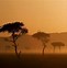 Image result for Safari Art Background