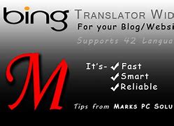 Image result for Bing Translator Icon