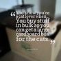 Image result for Motivational Cat Hang in There