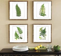 Image result for Framed Botanical Art Prints