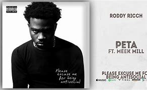 Image result for Roddy Ricch Peta