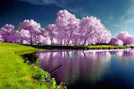 Image result for iPad Nature Wallpaper 4K