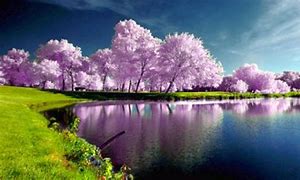 Image result for Nature iPad Wallpaper Backgrounds