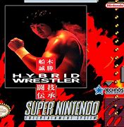 Image result for Hybrid Wrestler Super Famicom Box