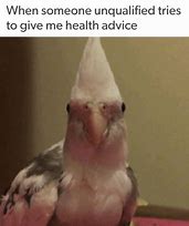 Image result for Unqualified Advice Meme