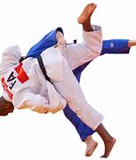 Image result for Judo PNG