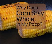 Image result for Corn in Shit Pile