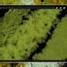 Image result for Procreate Draw Moss On Rock