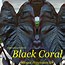 Image result for Colocasia esculenta Black Coral