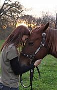 Image result for Horse and Person