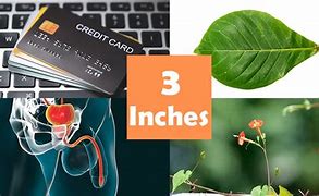 Image result for Things That Are Three Inches Long