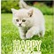 Image result for Funny Birthday Quotes and Sayings