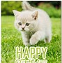 Image result for Birthday Card for a Dear Friend