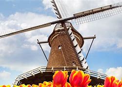 Image result for Titan Travel Tulips and Windmills