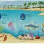 Image result for Ocean Habitat Printables